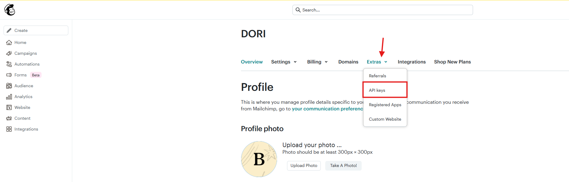 MailChimp API key